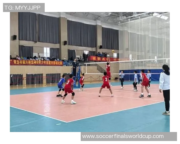 南京排球队的速度之美：探秘排球运动的魅力与激情